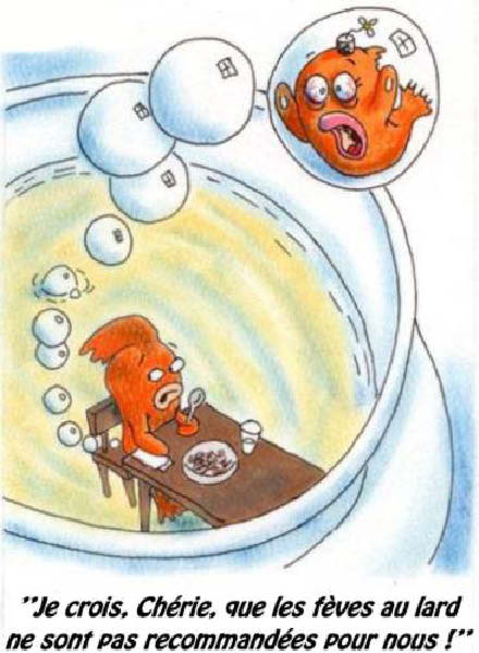 dans le bocal9b-humourenvrac